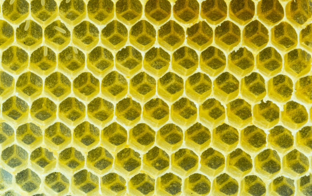 俯视图特写的空的自然六边形蜂窝背景。图片下载