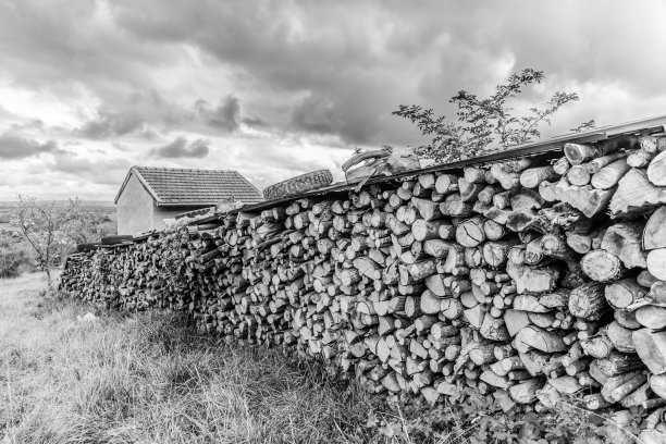 一堆木头的长度图片下载