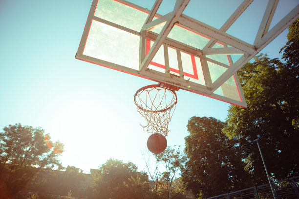 有网篮筐图片下载