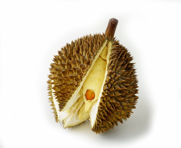 榴莲已经成熟开放了。图片下载
