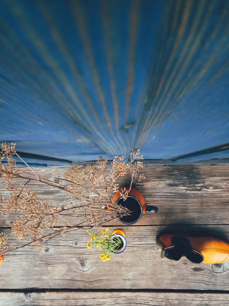 静物构图俯视图图片下载