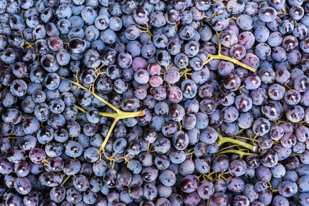 菜市场出售成熟的葡萄图片下载