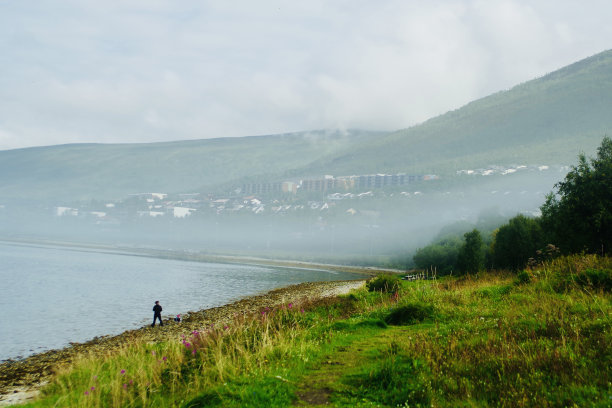 海岸线被雾覆盖图片下载