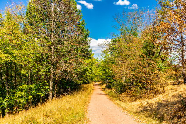 夏日漫步在图林根森林边缘的爱森纳赫沃特堡镇图片下载