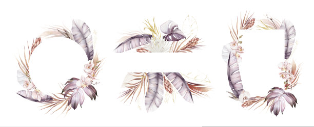 水彩热带框架设置，邀请设计的婚礼或贺卡。花框与棕榈叶，热带花朵。图片下载