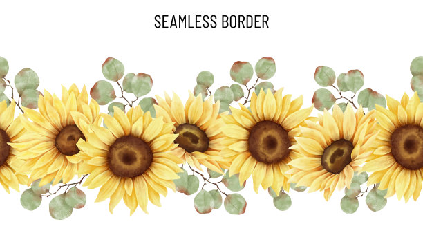 水彩向日葵无缝边框图片下载