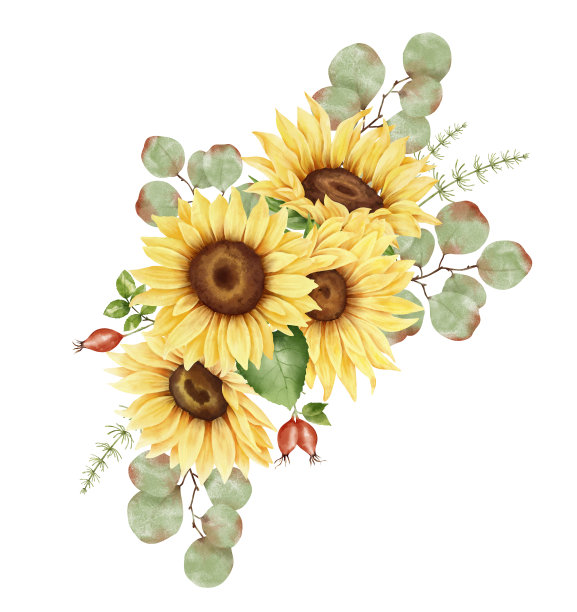 水彩向日葵花束图片下载