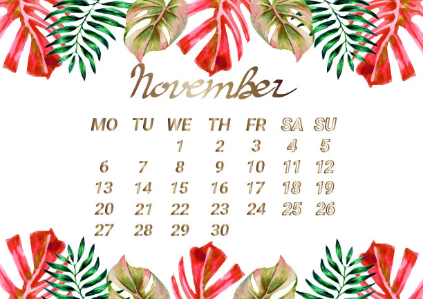 11月:2023年异国热带树叶日历模板。2023年日历页，水彩树叶横框。热带手绘装饰植物元素，日记页设计。图片下载
