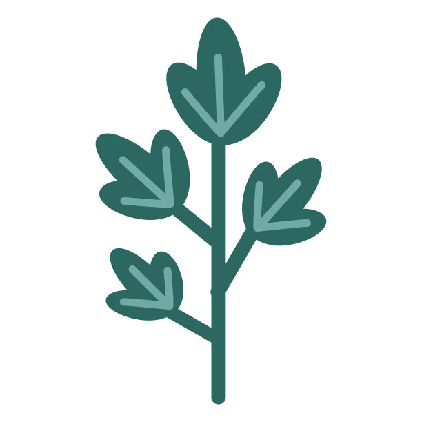 绿色平坦叶图片下载