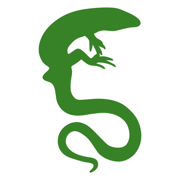 长尾蜥蜴剪影图片下载