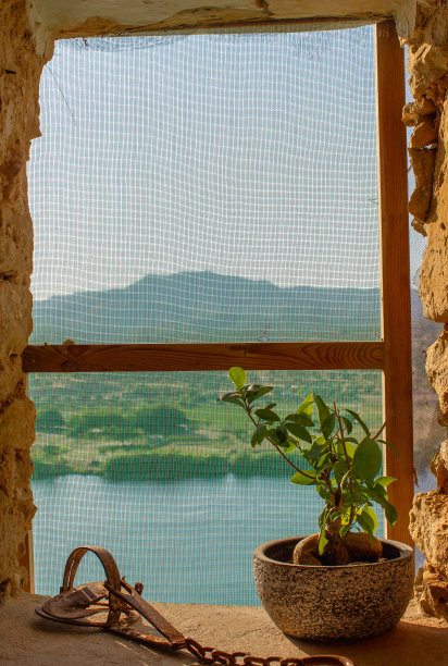 一个盆景的计划图片下载