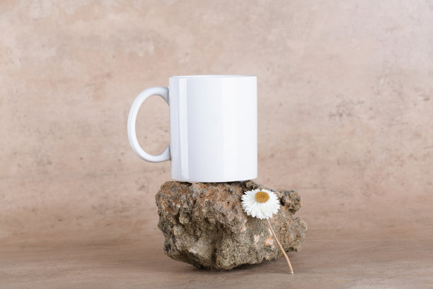 白色杯子模型在石墩上的米色陶土背景空白拷贝空间图片下载