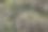 微型山崖和苔藓图片下载