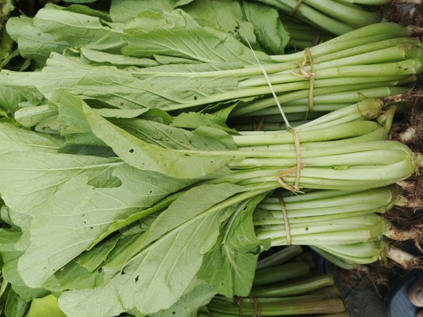 凯西姆在传统市场上出售图片下载