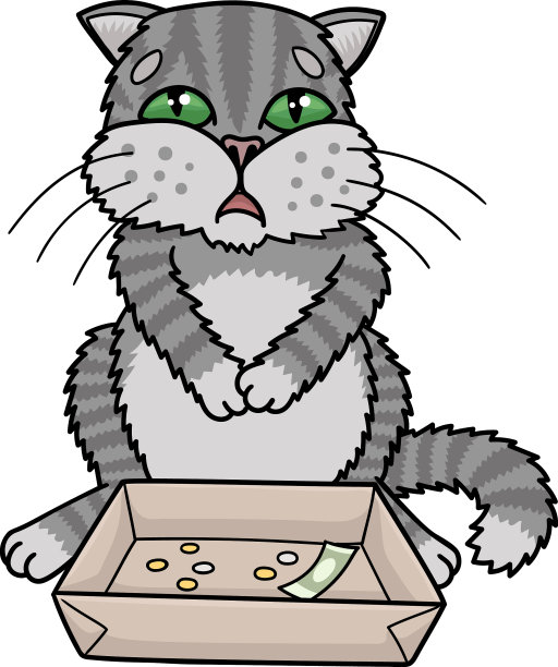 悲伤的灰猫乞讨，他收集钱在一个盒子图片下载