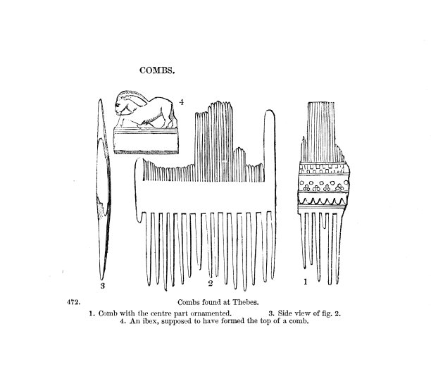 19世纪底比斯梳子雕刻，1854年图片下载