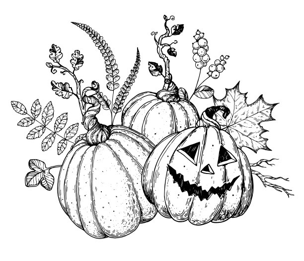 万圣节南瓜素描插图。手绘矢量插图。杰克灯。秋天的气味。万圣节的复古设计。设计元素图片下载