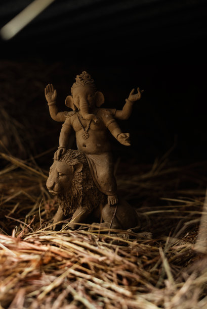 Ganesh环保主图片下载