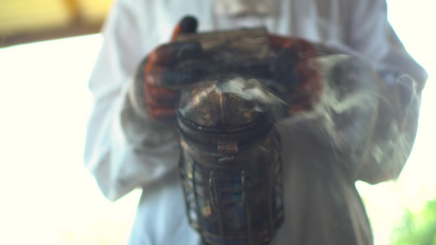 一个穿着特殊防护服的养蜂人手里拿着烟枪。烟雾中和蜜蜂。一个男人对着镜头抽着烟。特写镜头。图片下载