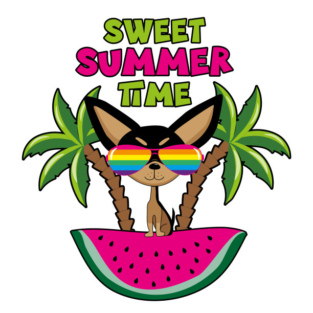 甜蜜的夏日时光，有趣的吉娃娃狗图片下载