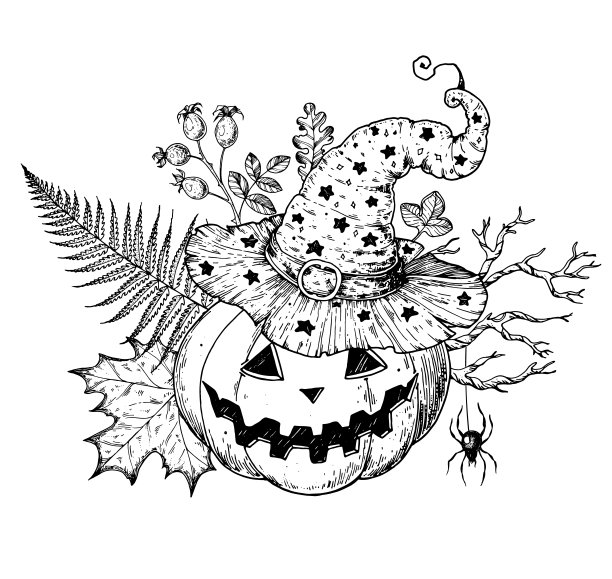 万圣节南瓜和女巫帽子素描。有南瓜和秋叶的万圣节花束。手绘矢量插图。杰克灯。为节日万圣节设计。图片下载