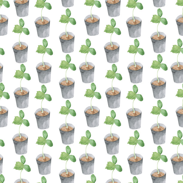 无缝图案与黄瓜幼芽。植物壁纸，纺织品，包装，办公室和床上用品的植物背景。图片下载