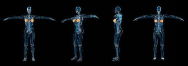 在黑色背景上孤立的人体女性乳房x射线3d渲染集。图片下载