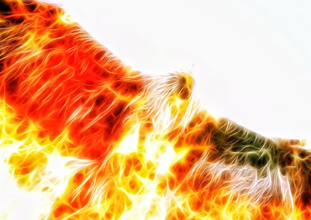 飞行火鸟的3D插图图片下载