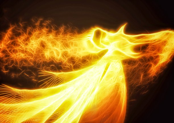 一只金色火鸟在夜空中扑腾的剪影图图片下载