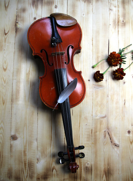 小提琴，鸟羽毛，木制背景上的花朵图片下载