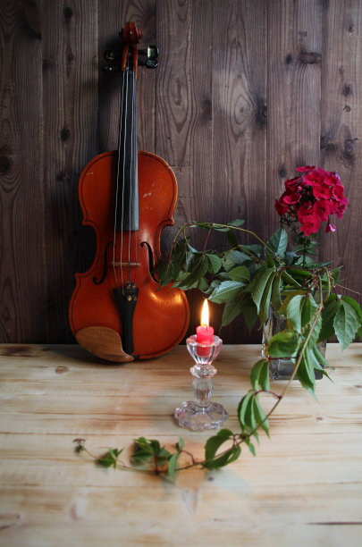 燃烧的红色蜡烛，小提琴，木本花瓶里的夹竹桃图片下载