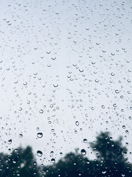 雨水透过树木和天空滴在窗户玻璃上图片下载