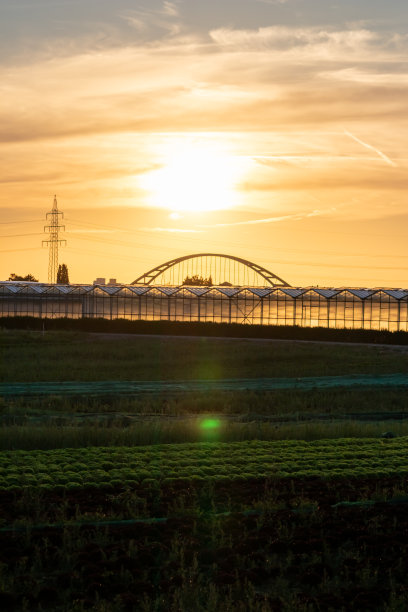 金色的夕阳映照着温室的剪影，在田园风光的乡村，为农业企业提供太阳能的桥梁和电力塔，而乡村风景则展示了玻璃温室健康的蔬菜图片下载