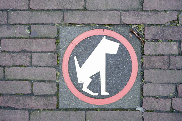 在大城市的街道上张贴禁止狗便便的标志图片下载