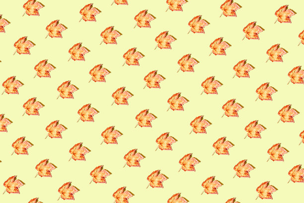 创造性的模式制成的干燥树叶在柔和的阳光下与阴影的背景。秋天，秋天，感恩节的概念。平铺，俯视图。最小的风格图片下载