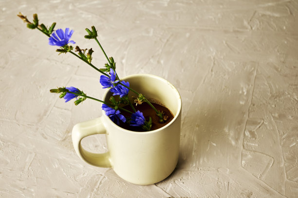 咖啡杯中放入菊苣粉和菊苣花图片下载