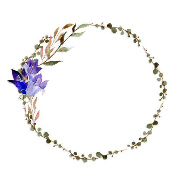 水彩画框布置，手绘秋花枝叶。孤立在白色背景。设计邀请，婚礼或贺卡，墙纸，印刷，纺织品图片下载