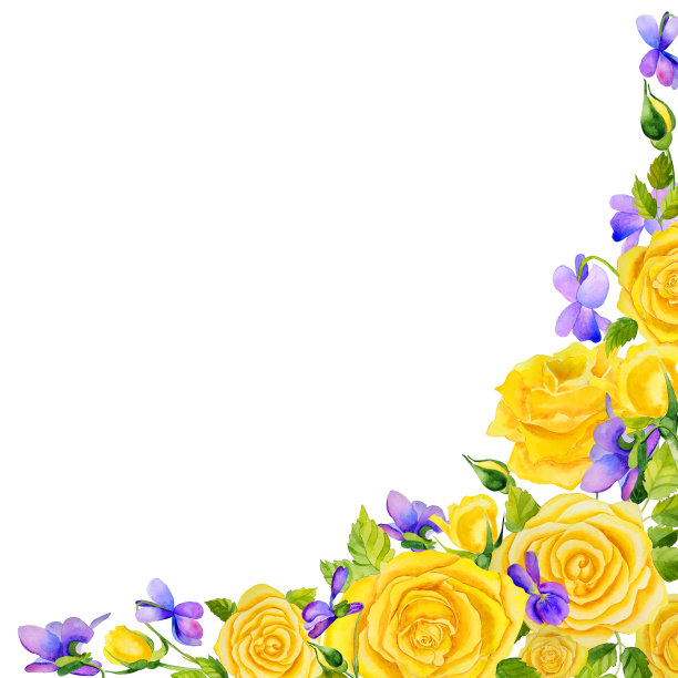 黄色水彩玫瑰和紫罗兰贺卡。手绘鲜花和花蕾的插图，用于问候和邀请信的抬头。精致的婚礼模板框架。图片下载