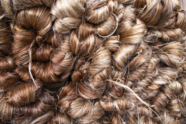 粗金束湿黄麻纤维纹理背景图片下载