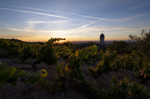 夏天，博若莱的日出风景环绕着奇鲁伯斯村图片下载