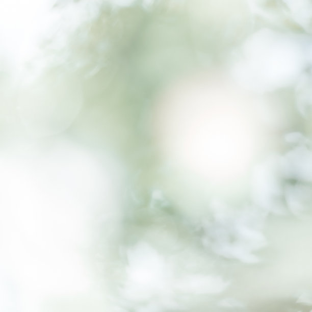 自然散景设计，阳光背景，绿叶，公园和森林，模糊树木抽象的创意设计，墙纸概念图片下载