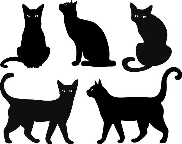 猫的轮廓孤立地设置在白色图片下载