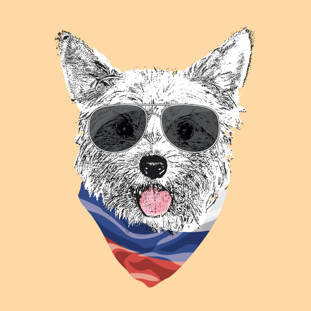 约克郡梗肖像可爱酷狗在图片下载