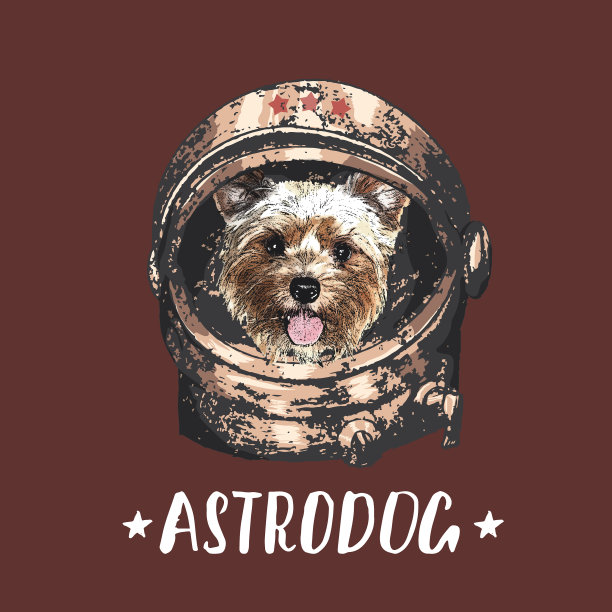 约克郡小狗星狗画像可爱的太空狗图片下载