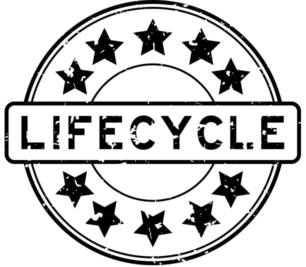 Grunge黑色生命周期词与明星图标轮图片下载