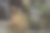 马鞍-婚礼欢迎横幅图片下载