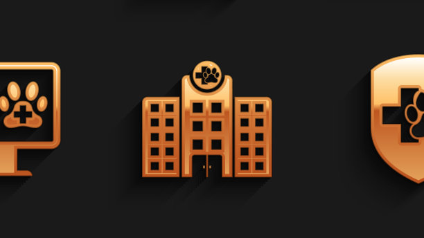 集兽医医院猫狗骨图片下载