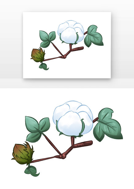 寒露时节棉花图片下载