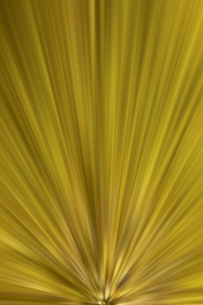 美丽而简单的金色背景图片下载