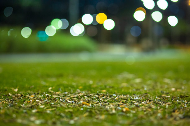 地上的泥土图片下载